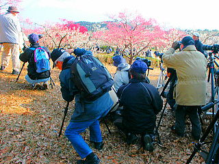岩本山とカメラマン.jpg